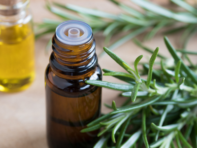 The Top 5 Benefits and Uses of Rosemary Essential Oil